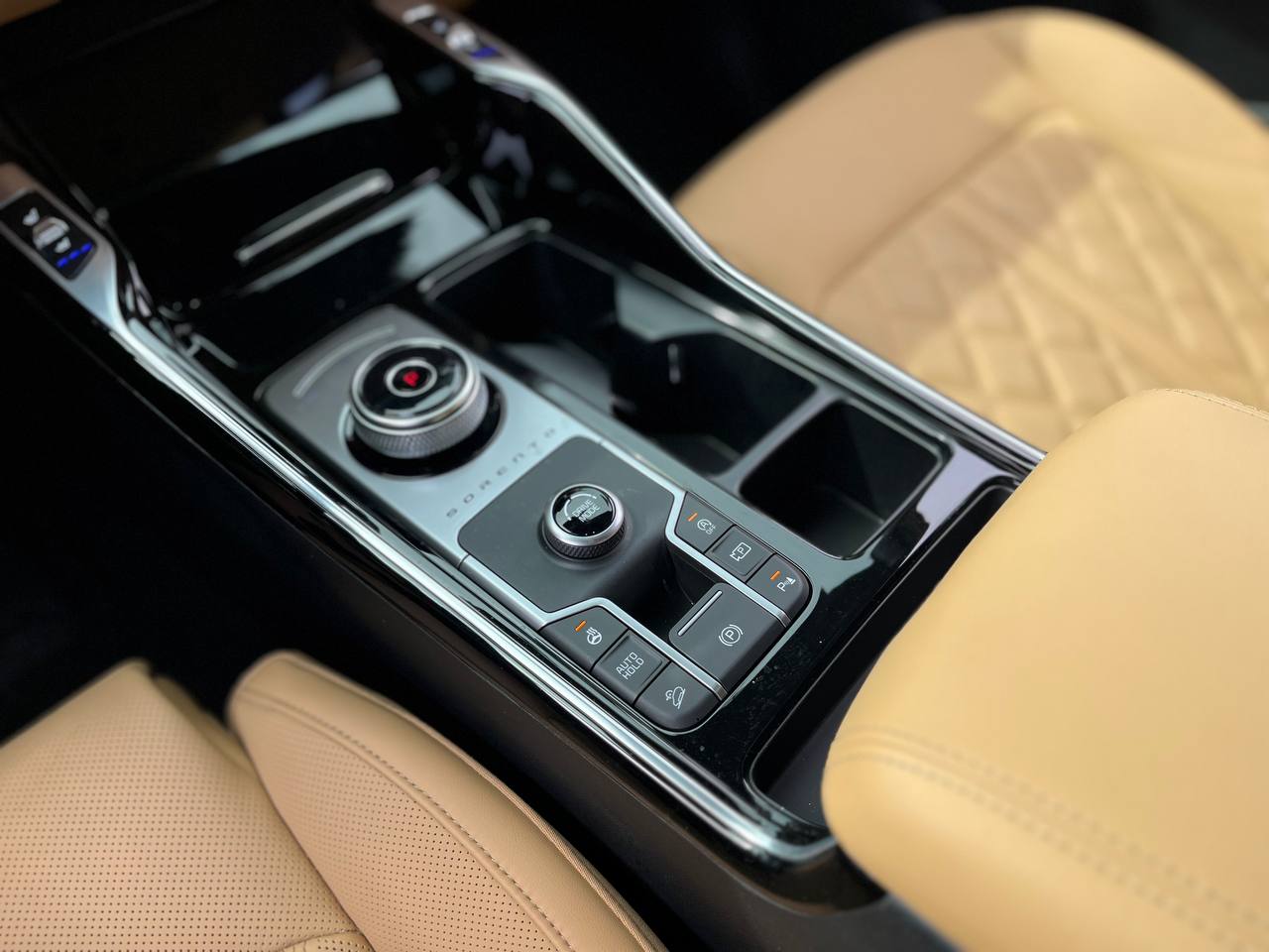 photo_2855@24-09-2025_09-04-34