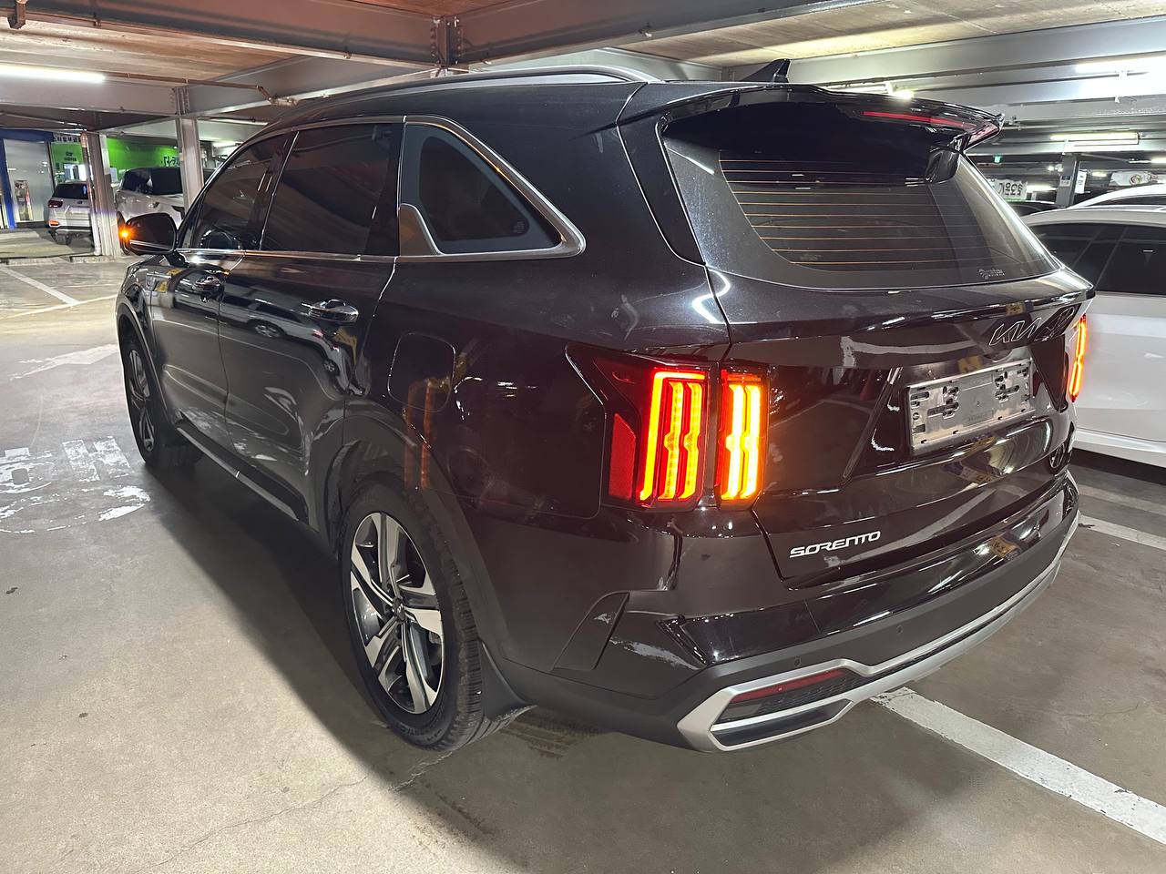 photo_2859@24-09-2025_09-05-20