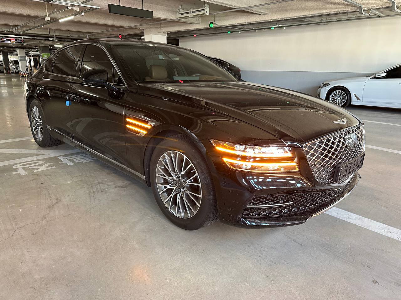 photo_2867@16-09-2025_05-37-04