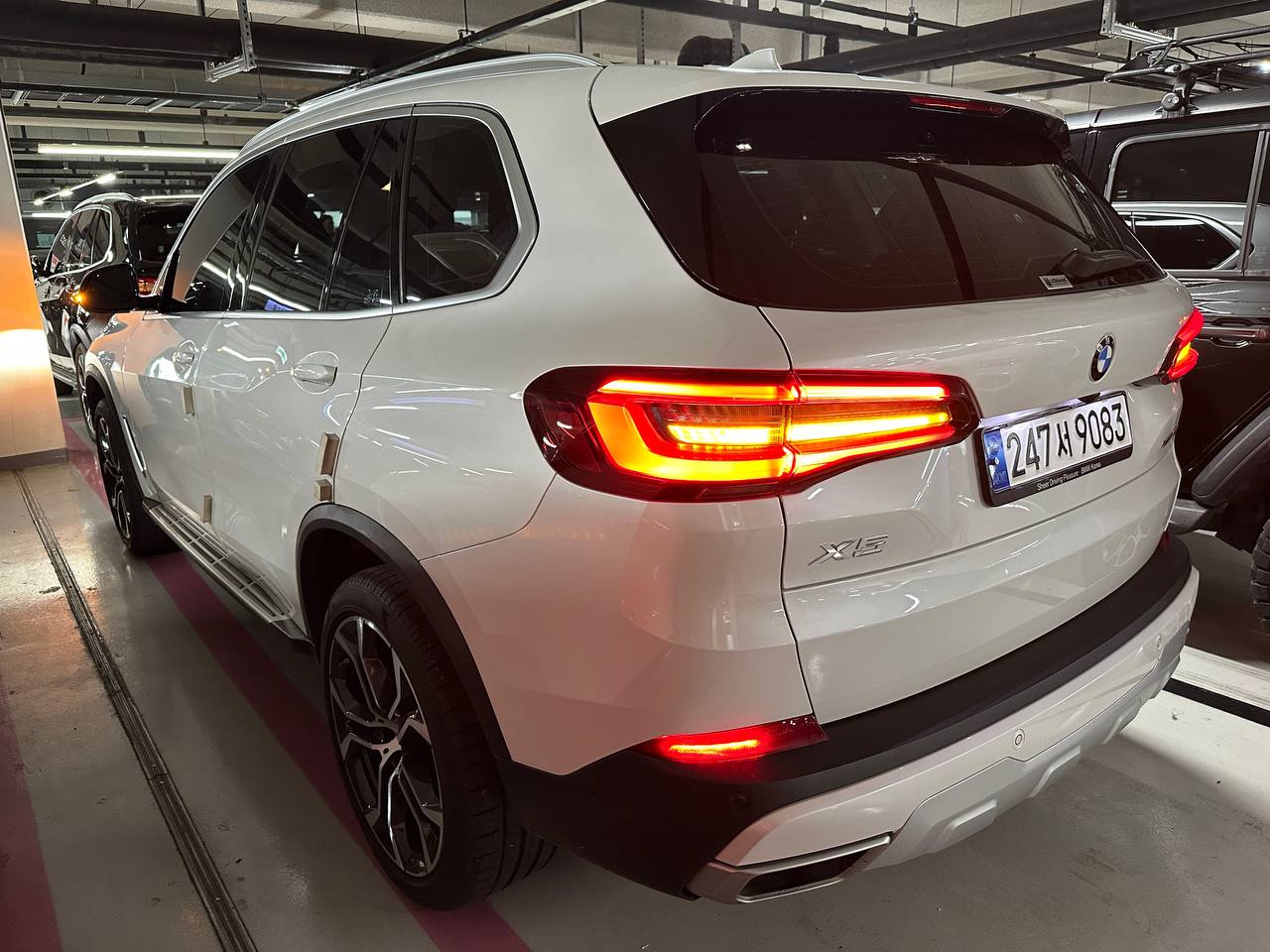 photo_2895@24-09-2025_09-09-15