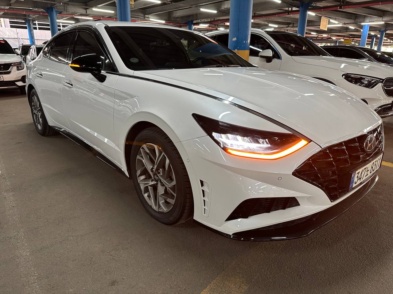 photo_2912@16-09-2025_05-42-19