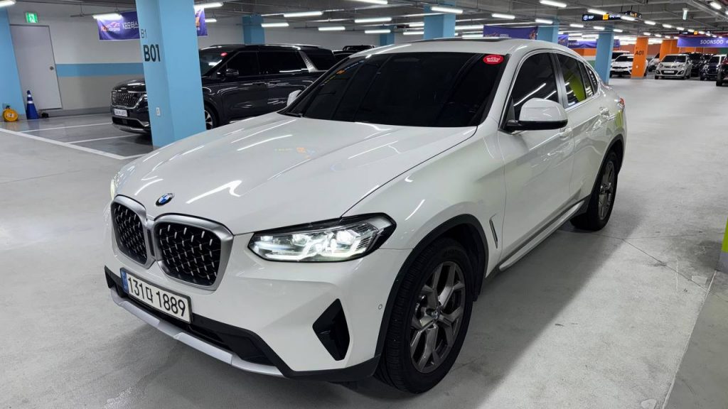BMW X4 (G02) xDrive 20i xLine