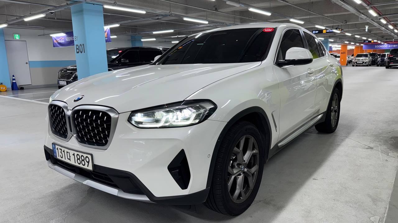 BMW X4 (G02) xDrive 20i xLine