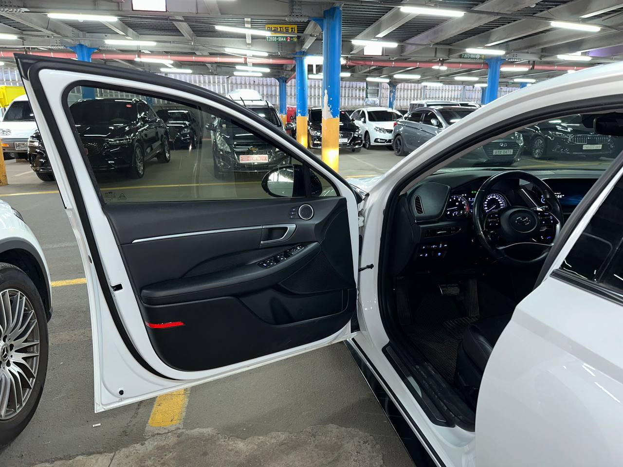 photo_2916@16-09-2025_05-42-19