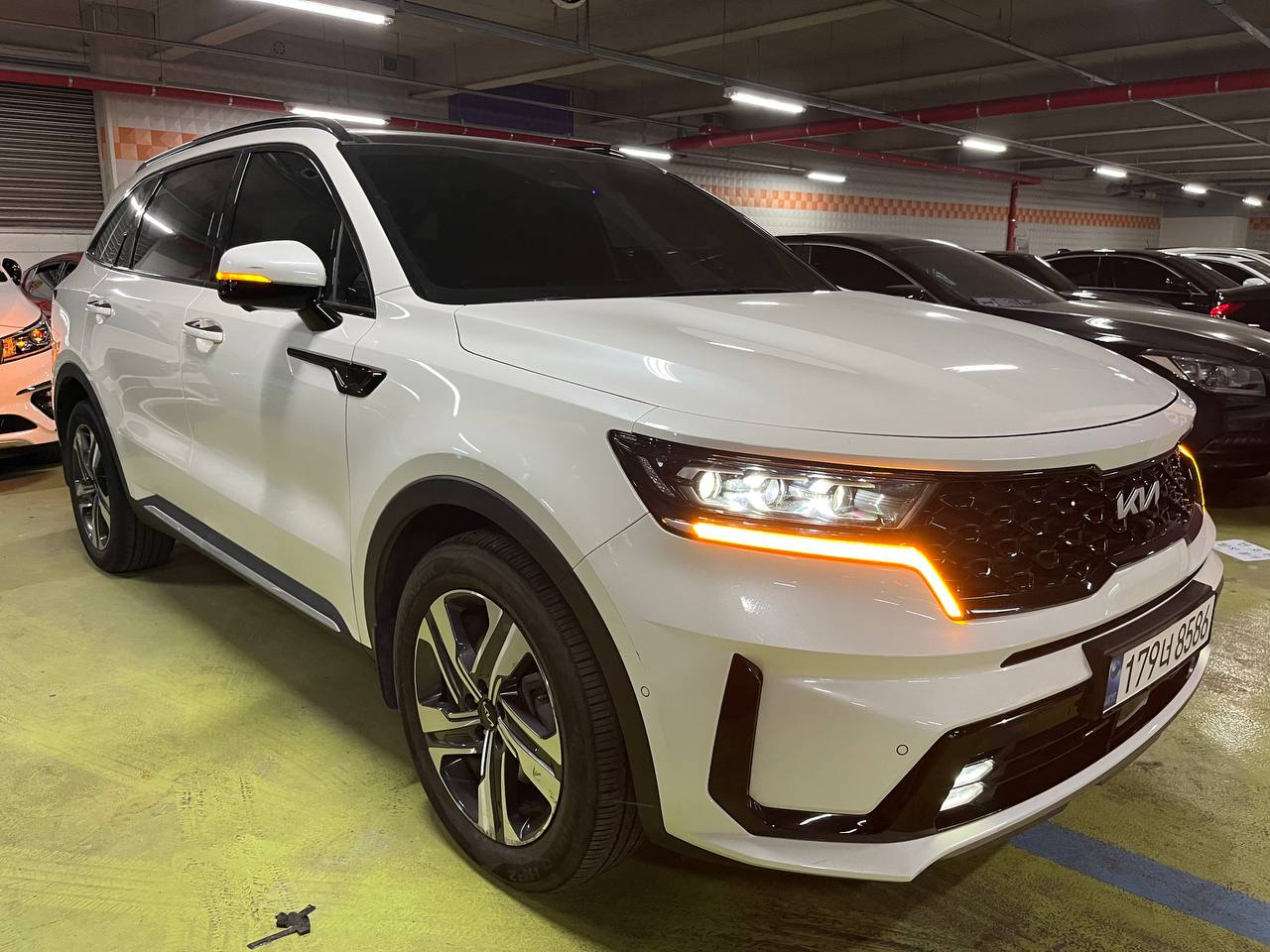 photo_2936@29-09-2025_04-53-32