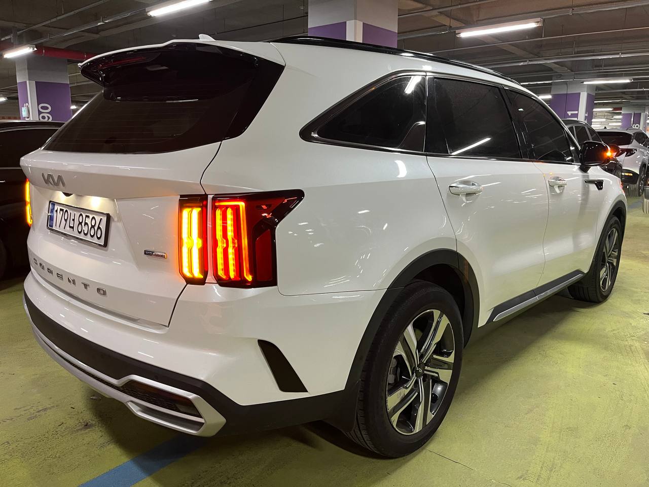 photo_2937@29-09-2025_04-53-32