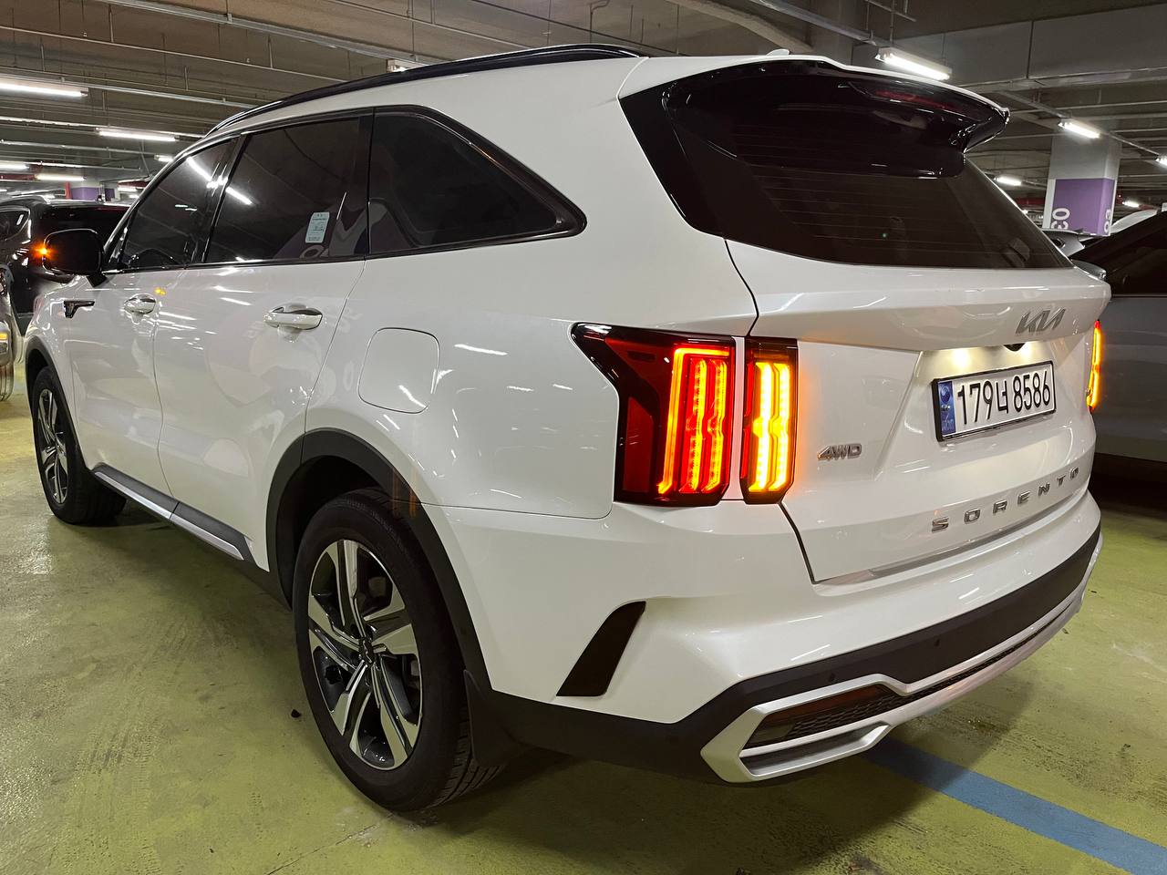 photo_2938@29-09-2025_04-53-32