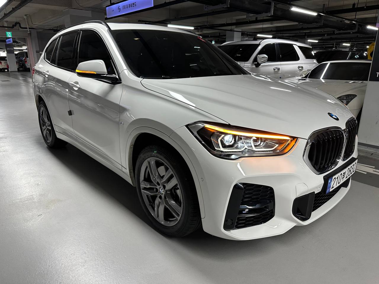 photo_2959@29-09-2025_04-55-01