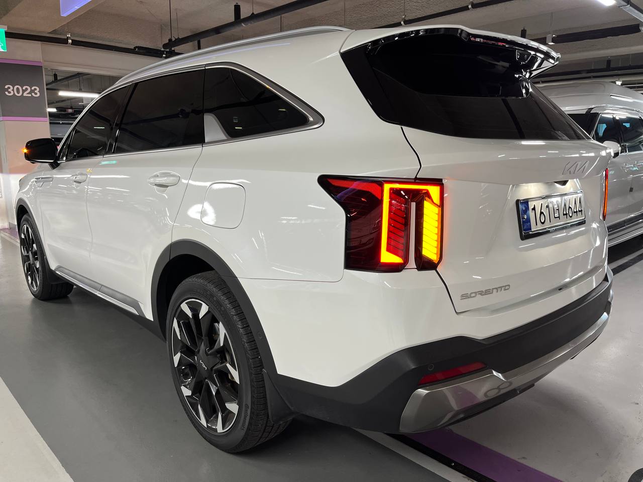 photo_2995@29-09-2025_04-57-28