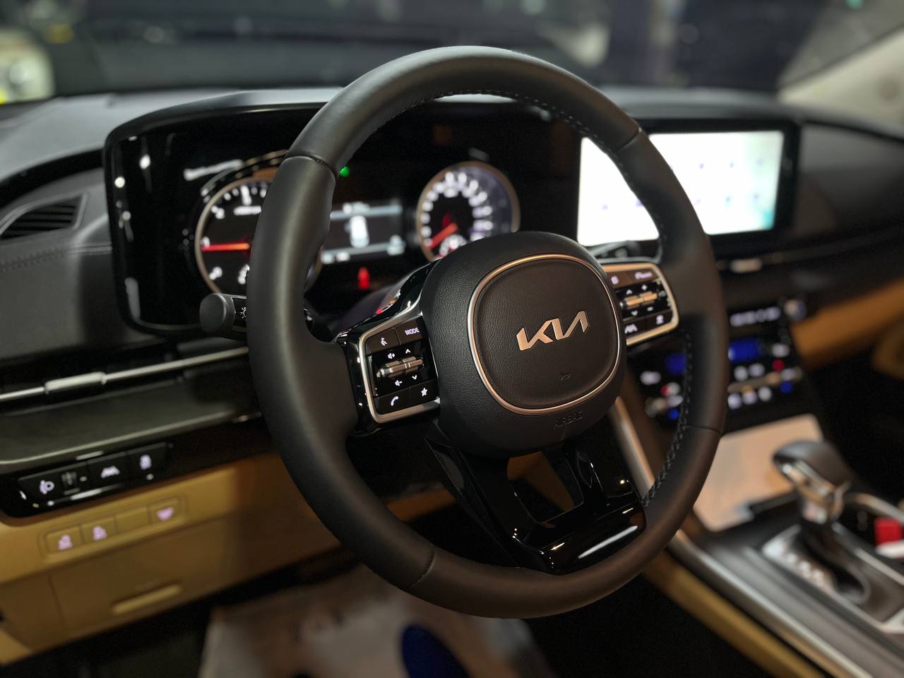 photo_146@24-10-2025_13-26-27