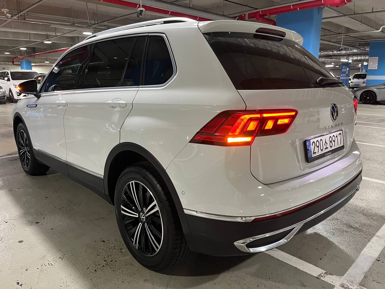 photo_2804@17-10-2025_06-56-35