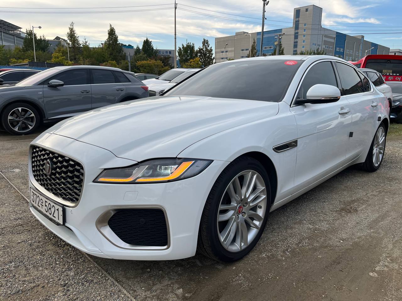 photo_2813@22-10-2025_07-59-00