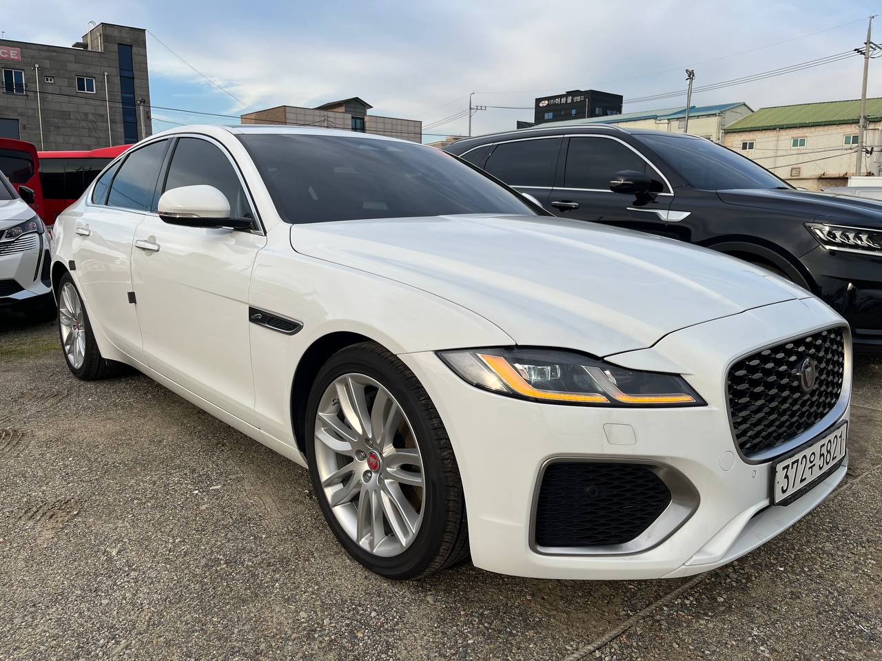 photo_2814@22-10-2025_07-59-00