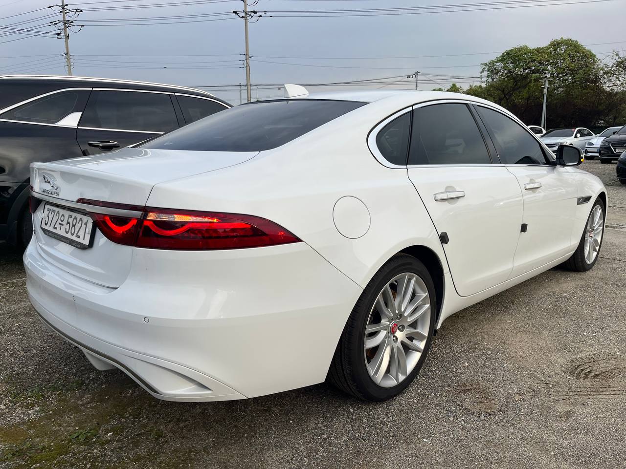 photo_2815@22-10-2025_07-59-00