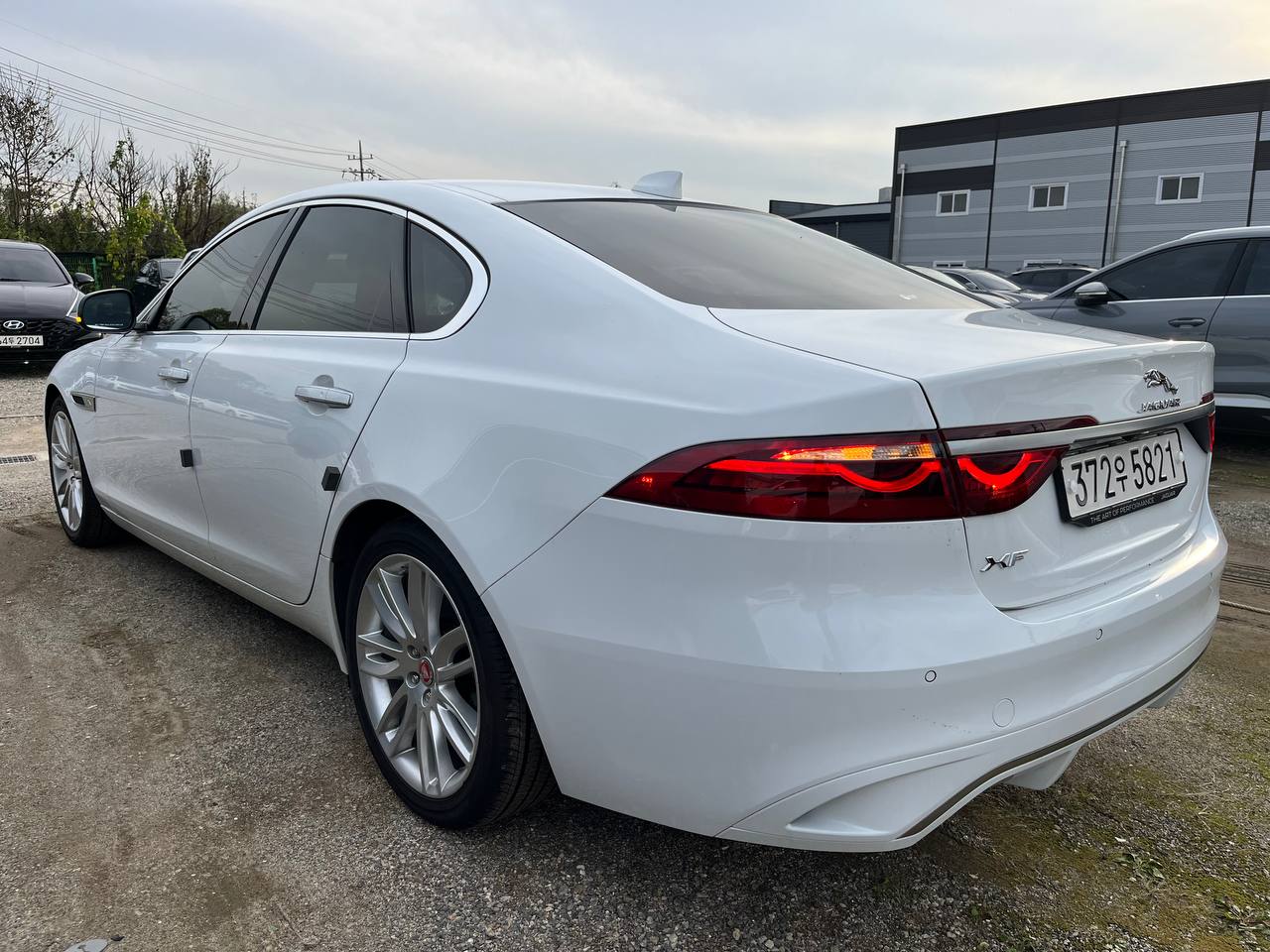 photo_2816@22-10-2025_07-59-01