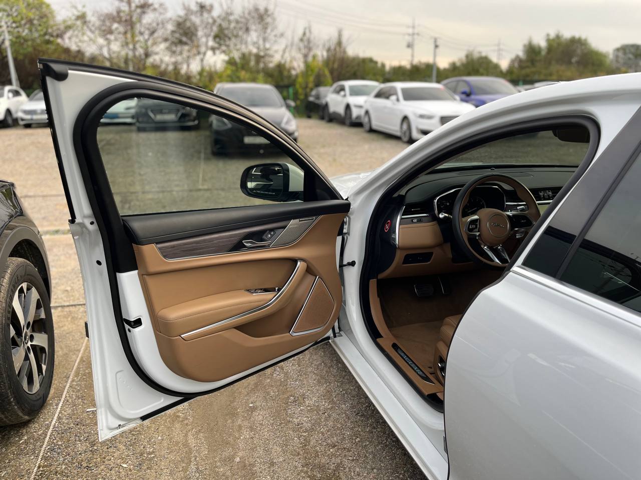 photo_2818@22-10-2025_07-59-01