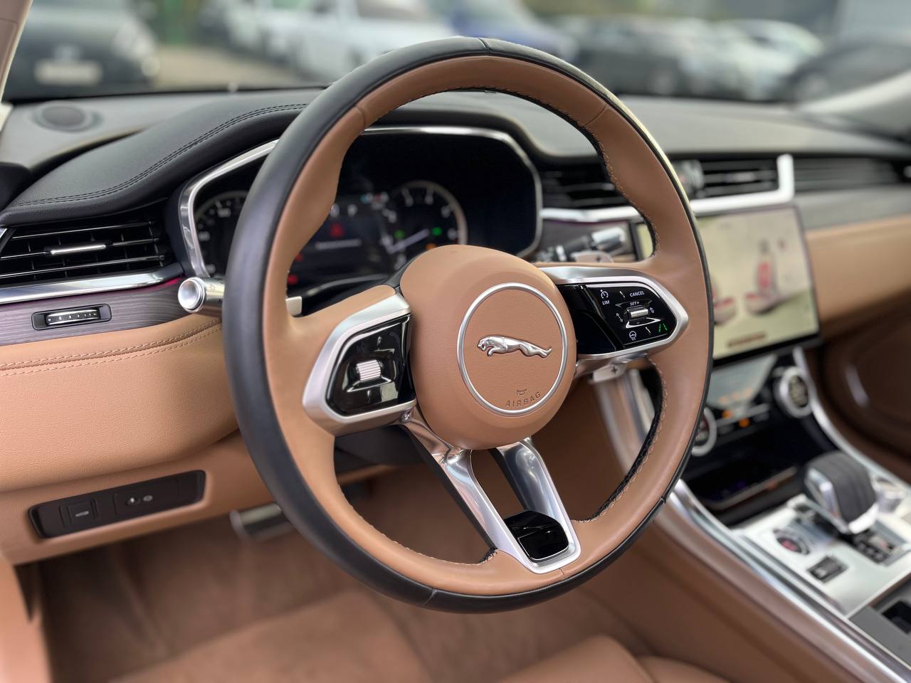 photo_2821@22-10-2025_07-59-01