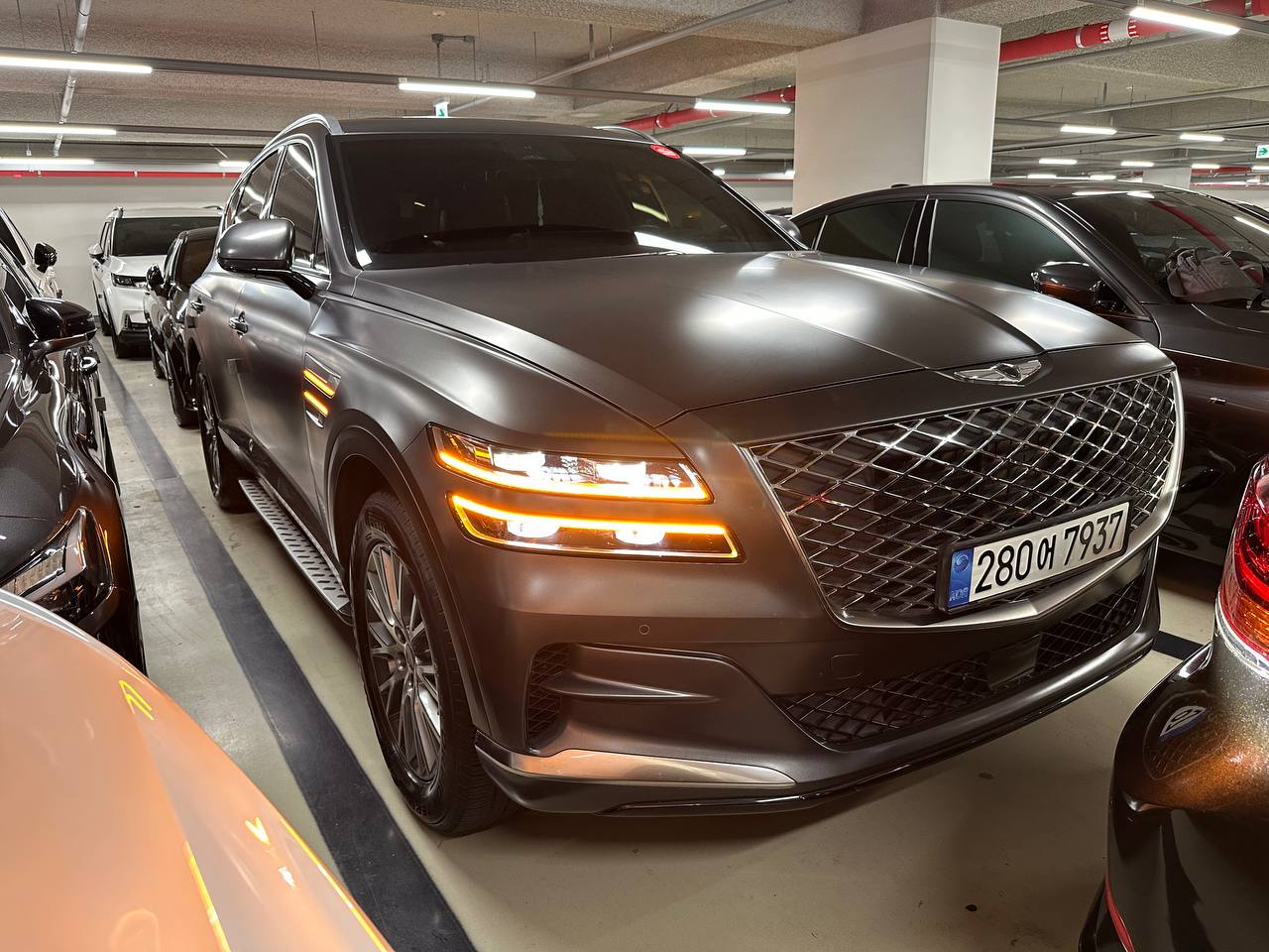 photo_2835@17-10-2025_06-57-57