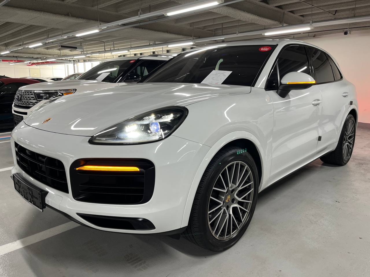 photo_2845@17-10-2025_06-58-30