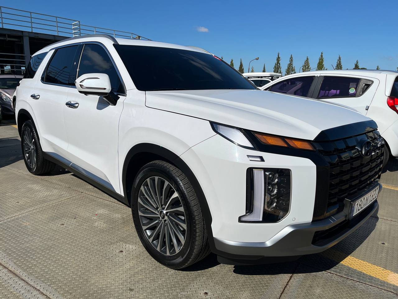 photo_2858@17-10-2025_06-59-01