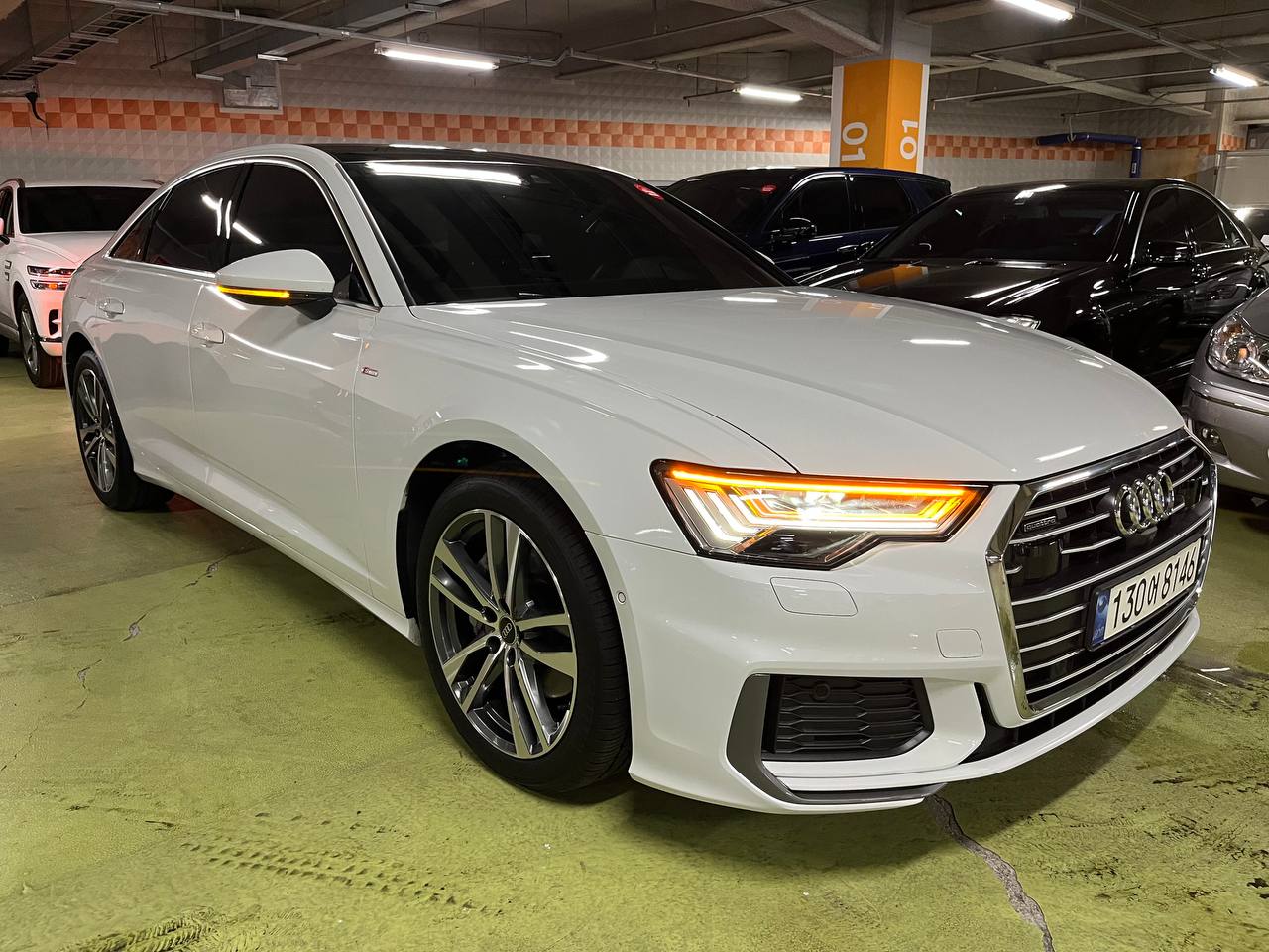 photo_2870@17-10-2025_06-59-32