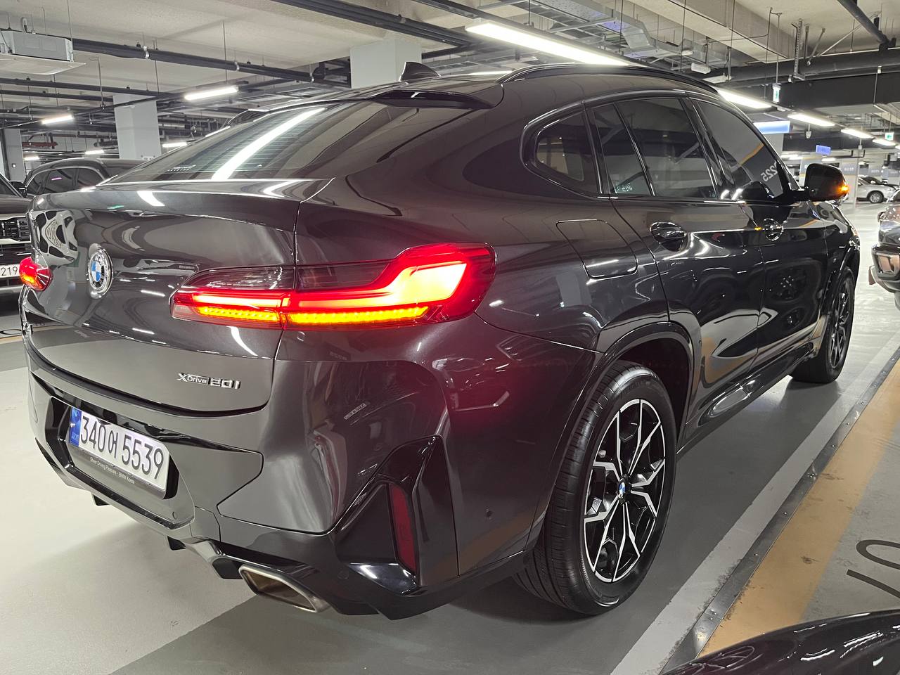 photo_2883@17-10-2025_07-00-00