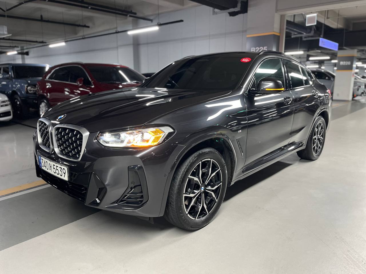 BMW X4 (G02) xDrive 20i M Sport