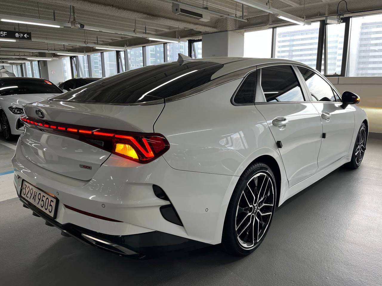 photo_2903@22-10-2025_08-07-11