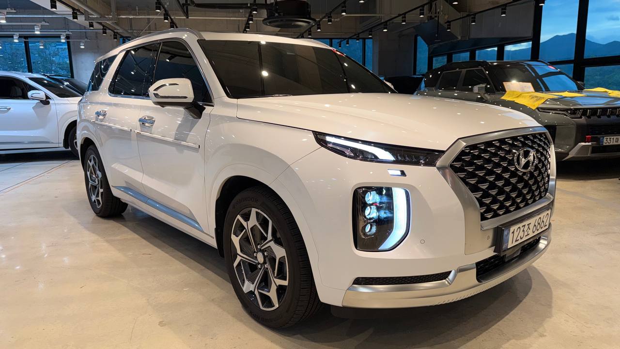 photo_2919@17-10-2025_07-01-43