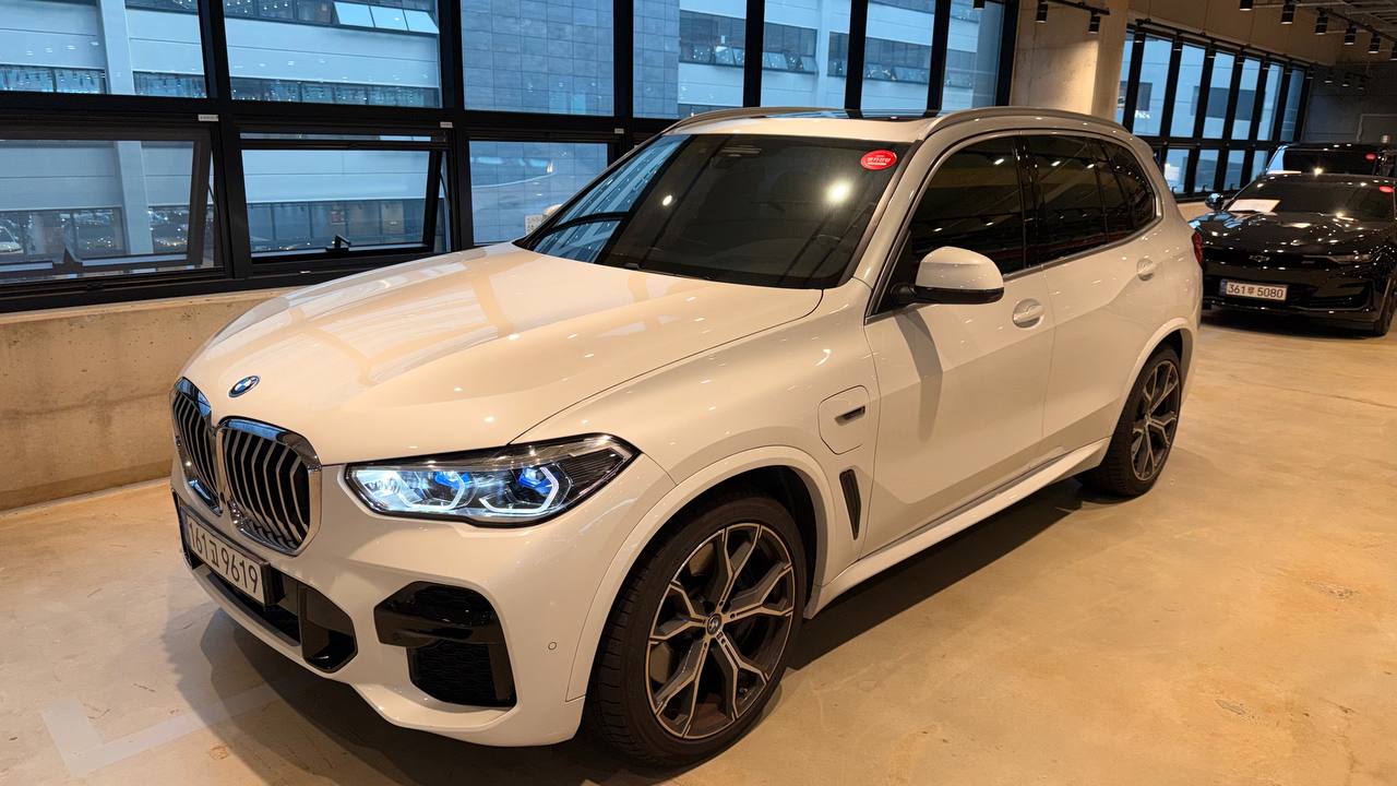 BMW X5 (G05) xDrive 45e iPerformance