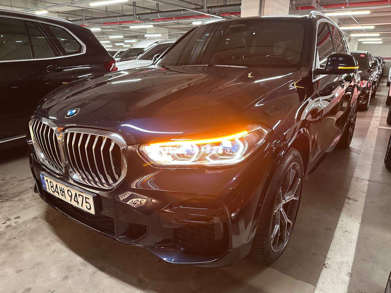 photo_109@05-11-2025_12-10-23