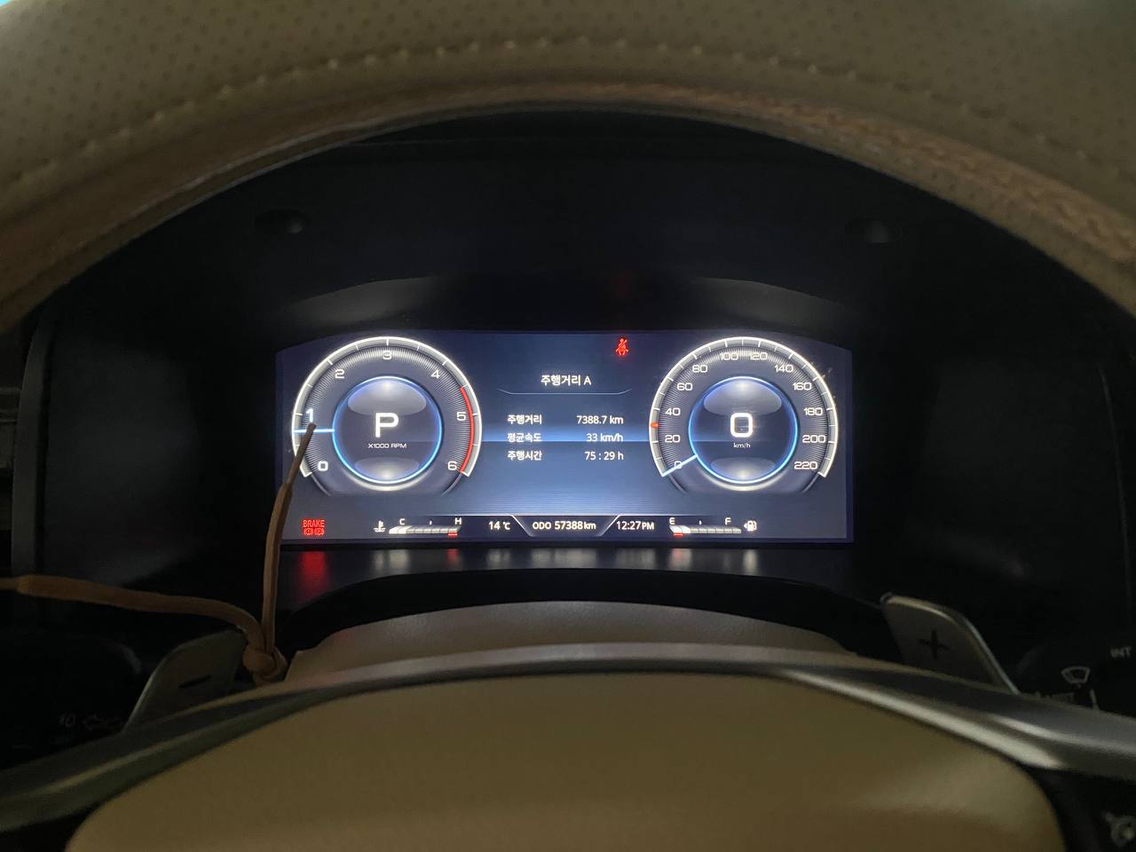 photo_112@07-11-2025_12-01-34