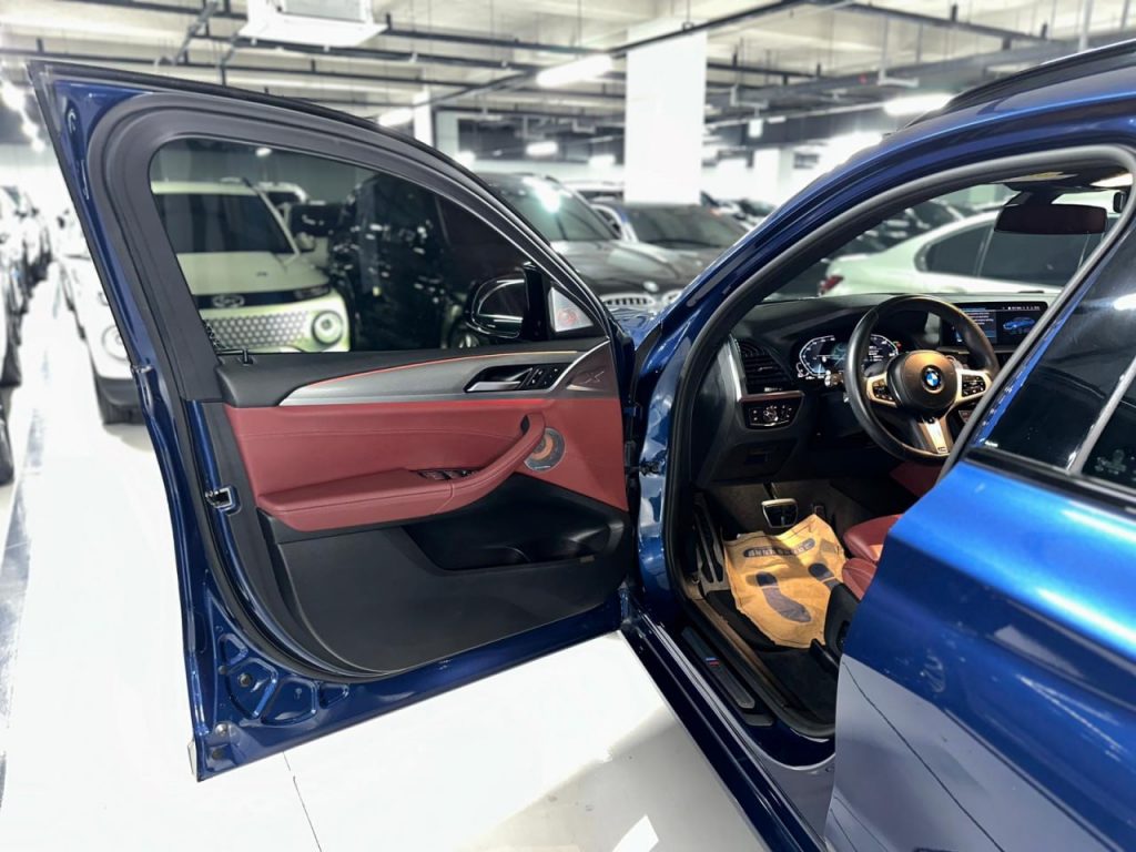 BMW X4 (G02) xDrive 20d M Sport