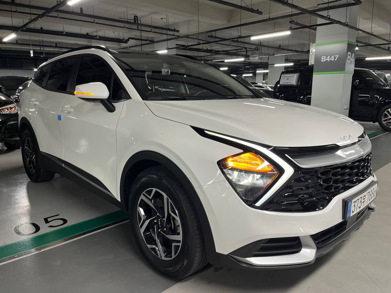 photo_157@10-11-2025_06-41-47