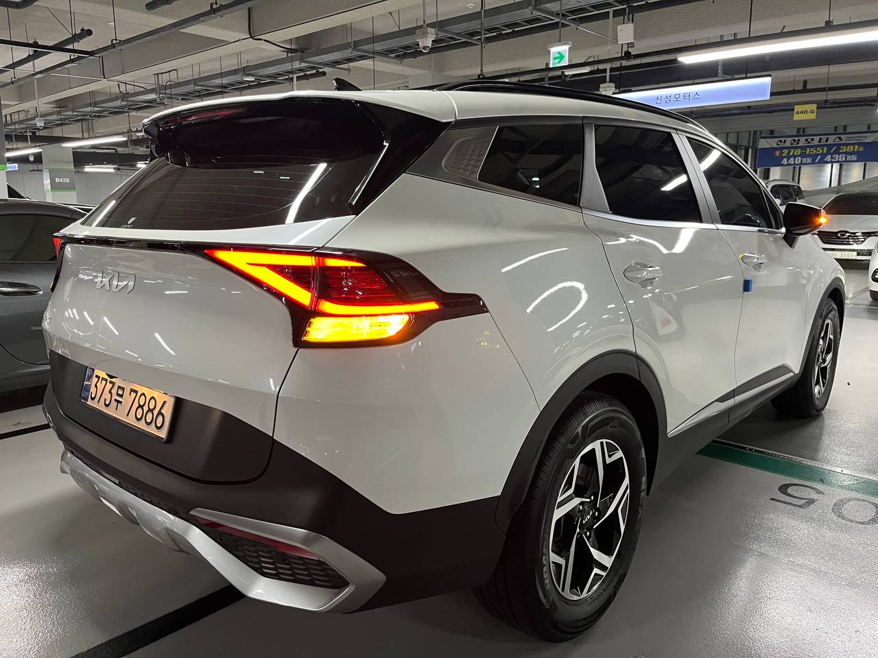 photo_158@10-11-2025_06-41-47