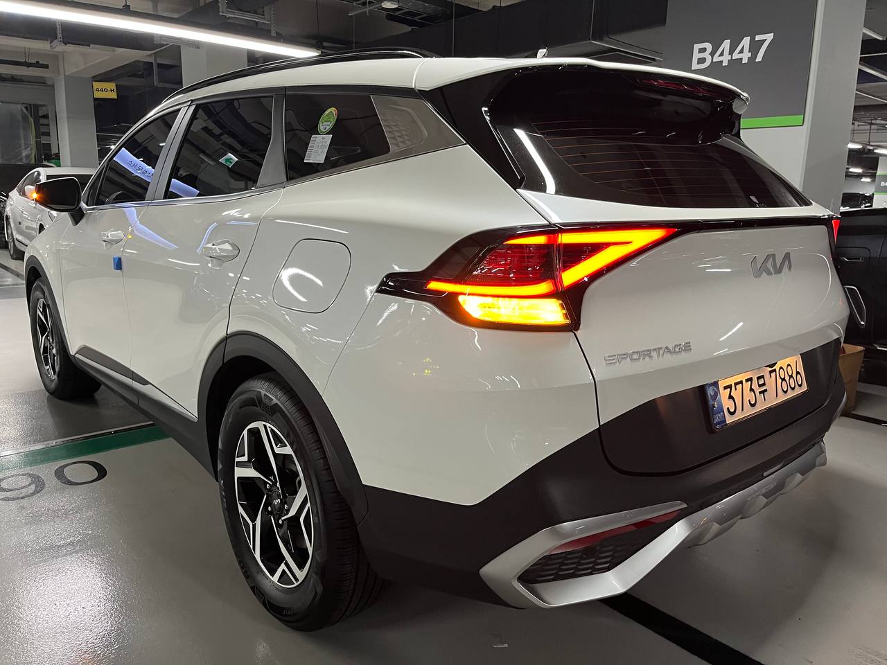 photo_159@10-11-2025_06-41-47