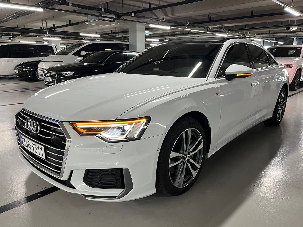 photo_1@03-11-2025_14-26-43