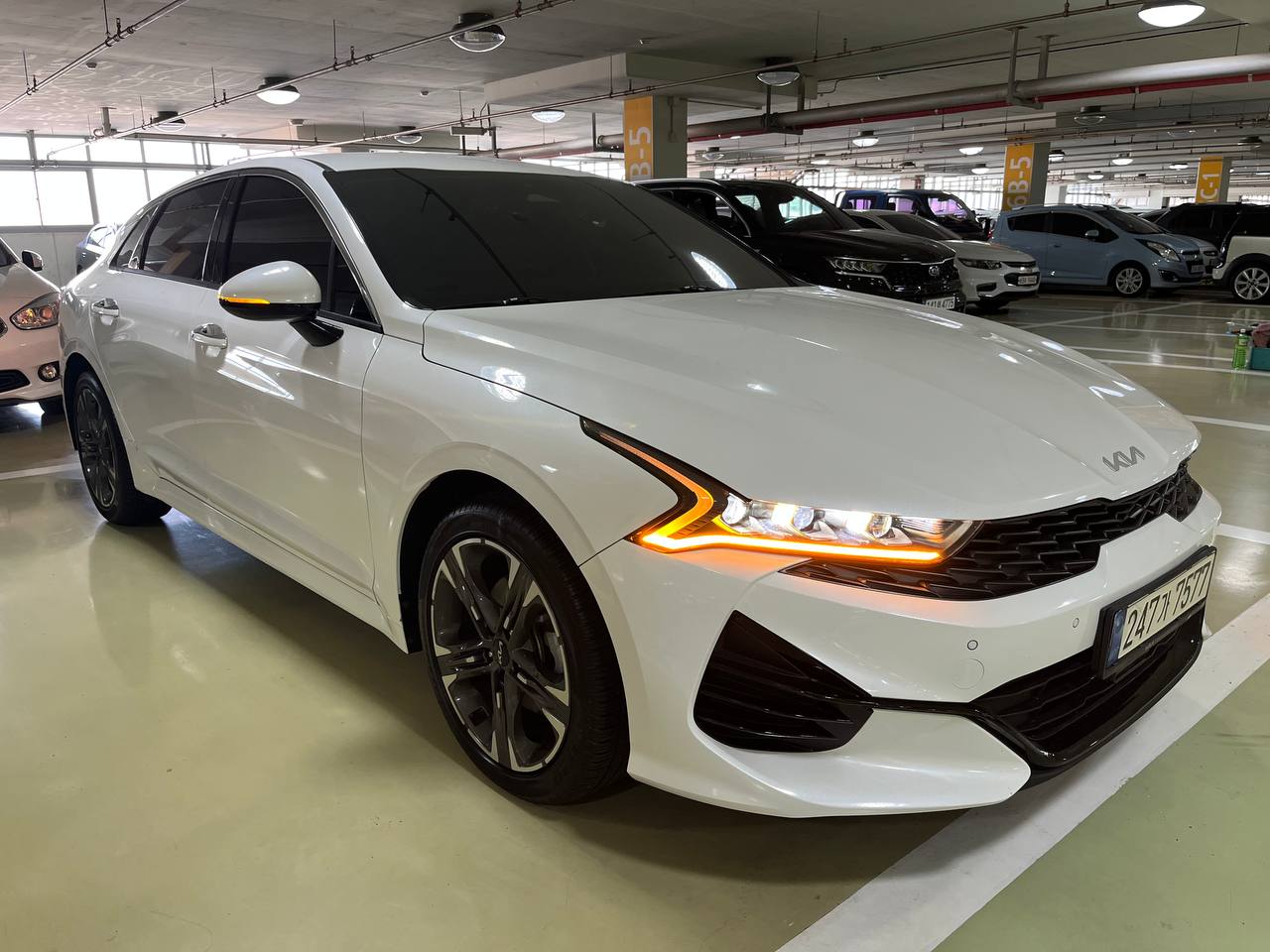 photo_26@11-11-2025_12-34-35