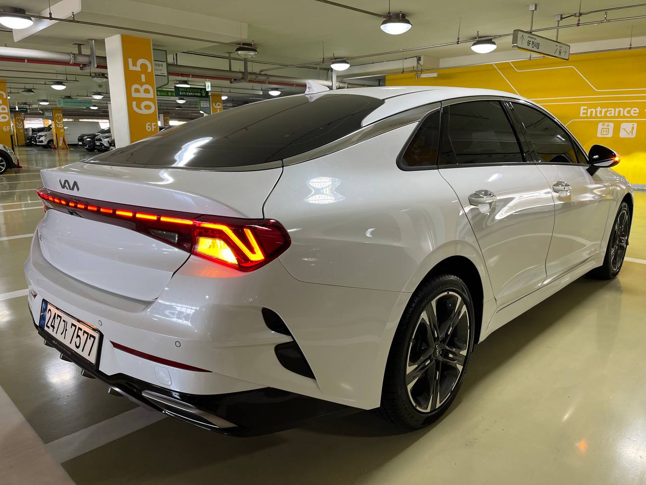 photo_27@11-11-2025_12-34-35