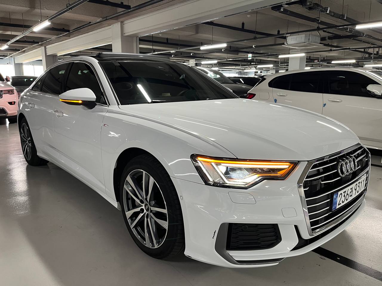 photo_2@03-11-2025_14-26-43