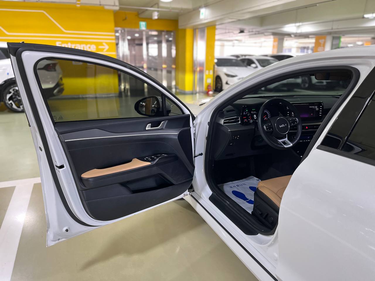 photo_30@11-11-2025_12-34-35