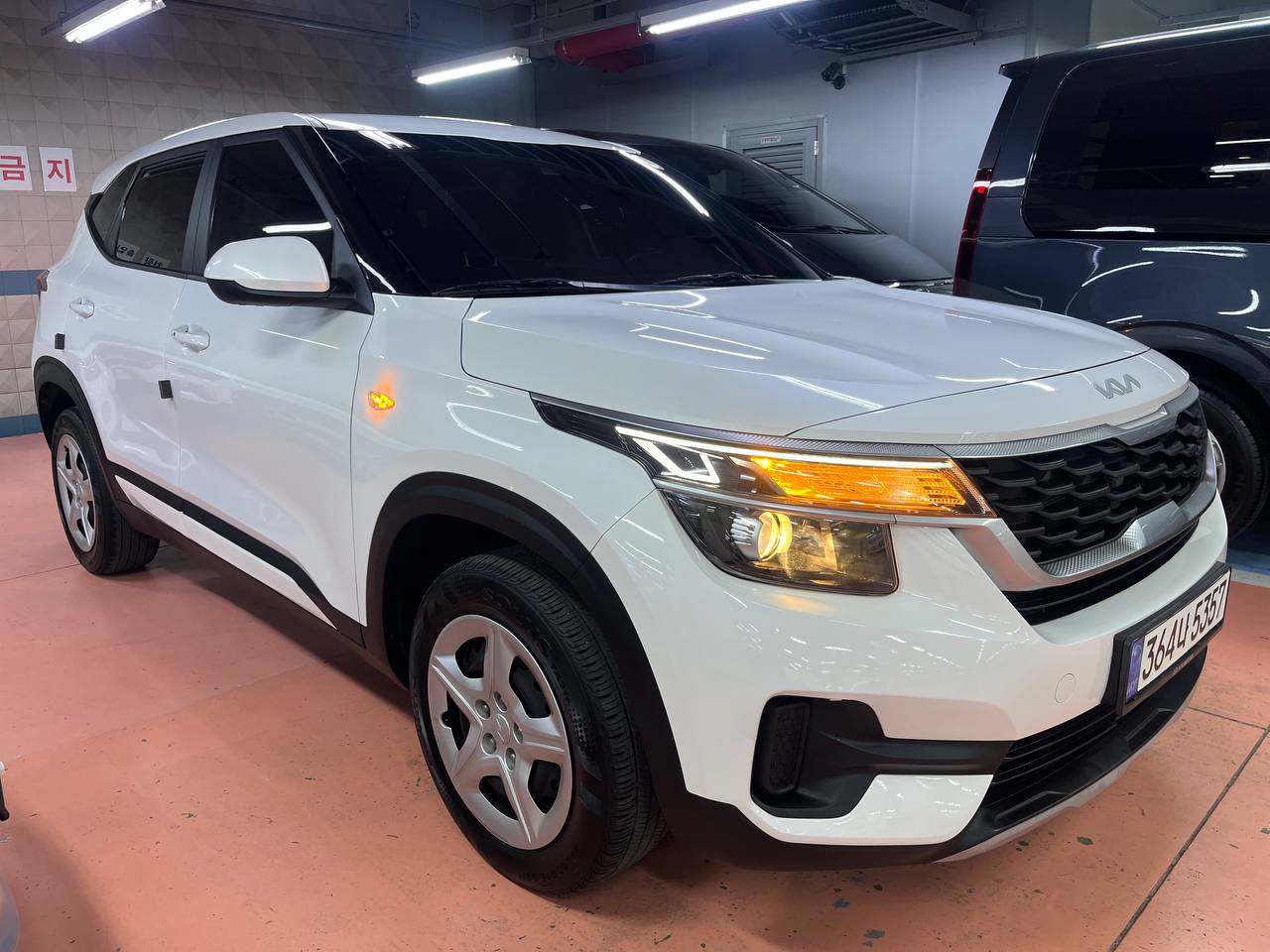 photo_340@03-11-2025_12-12-26