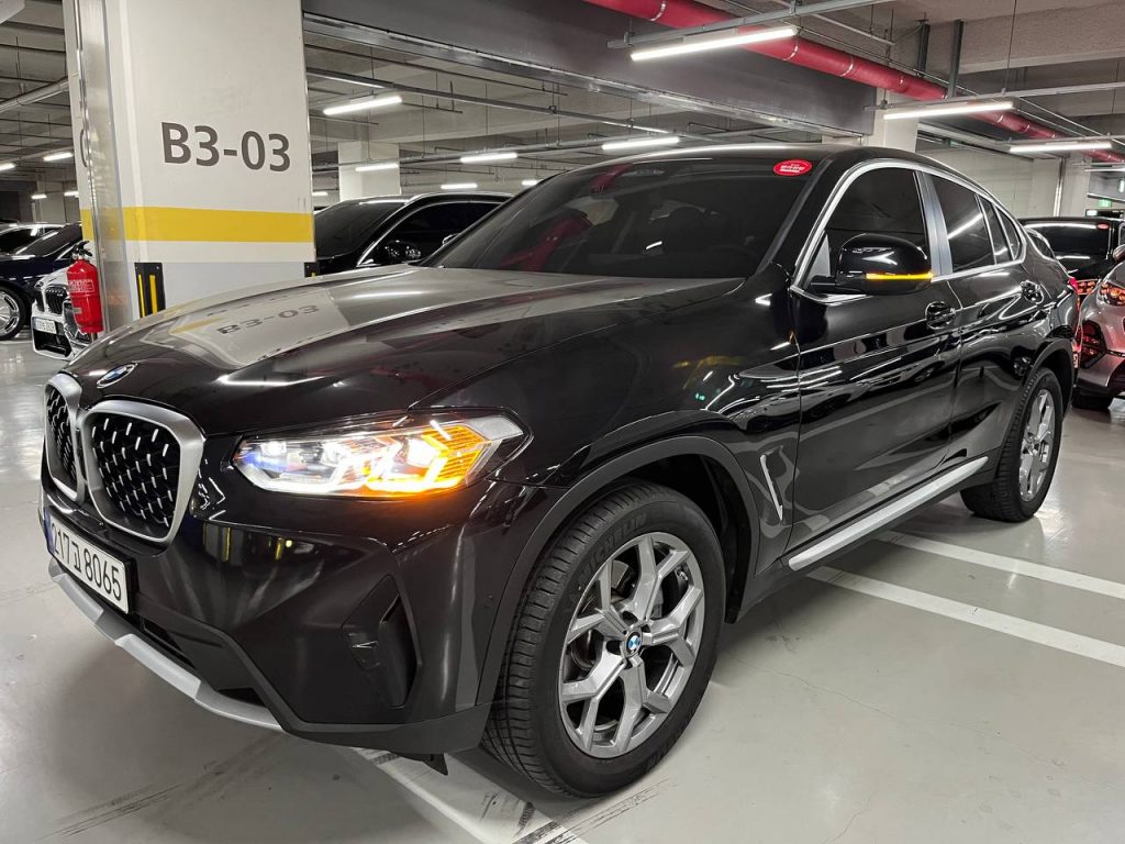 BMW X4 (G02) xDrive 20i xLine