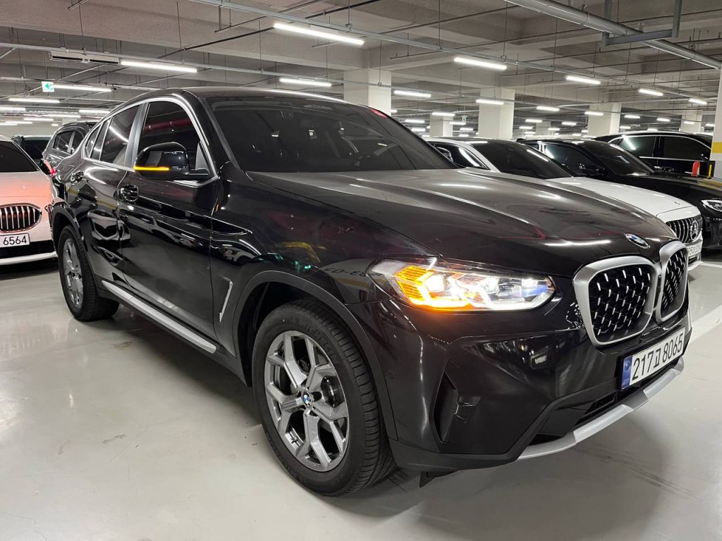 BMW X4 (G02) xDrive 20i xLine