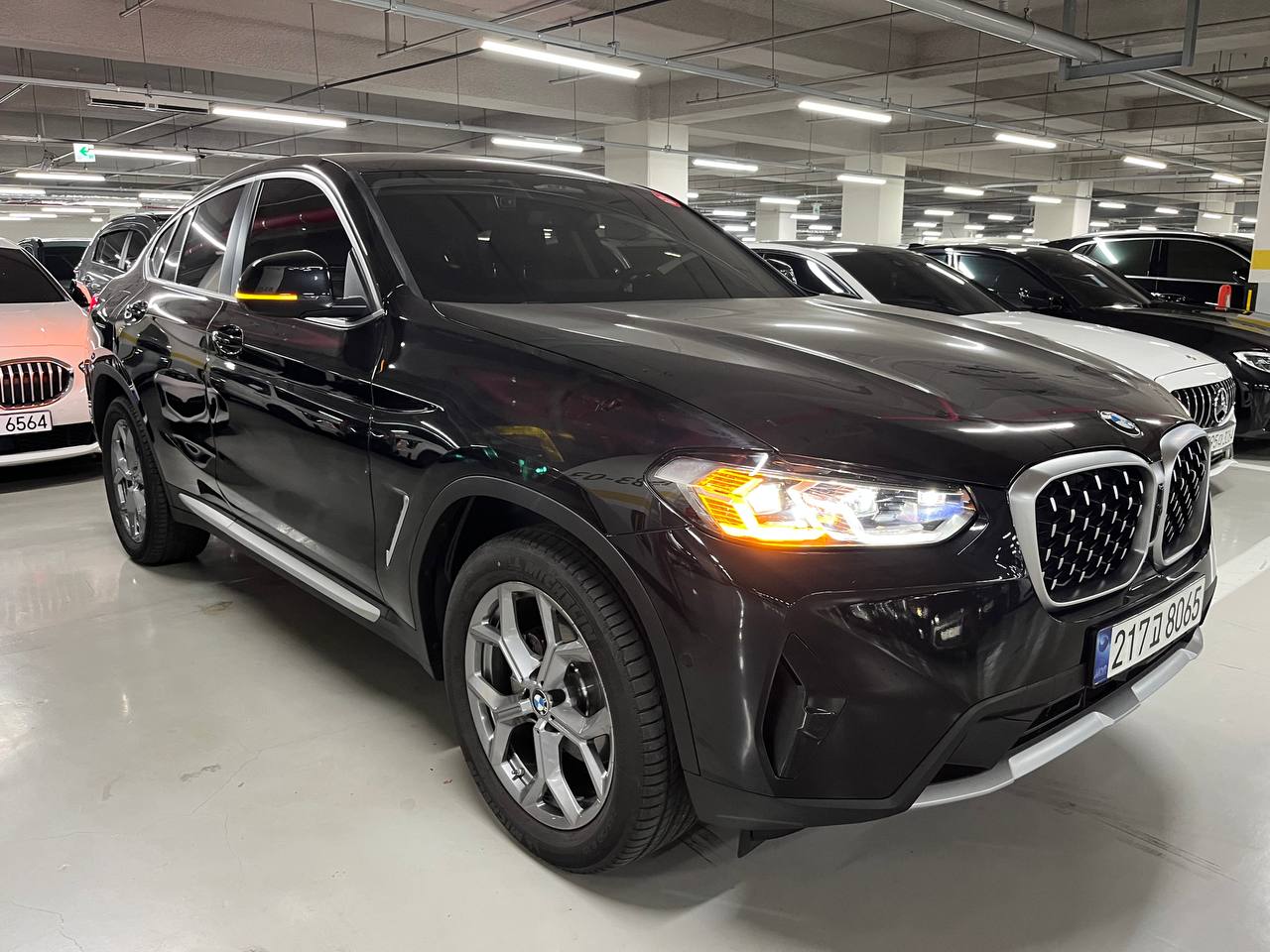 photo_49@05-11-2025_06-47-36