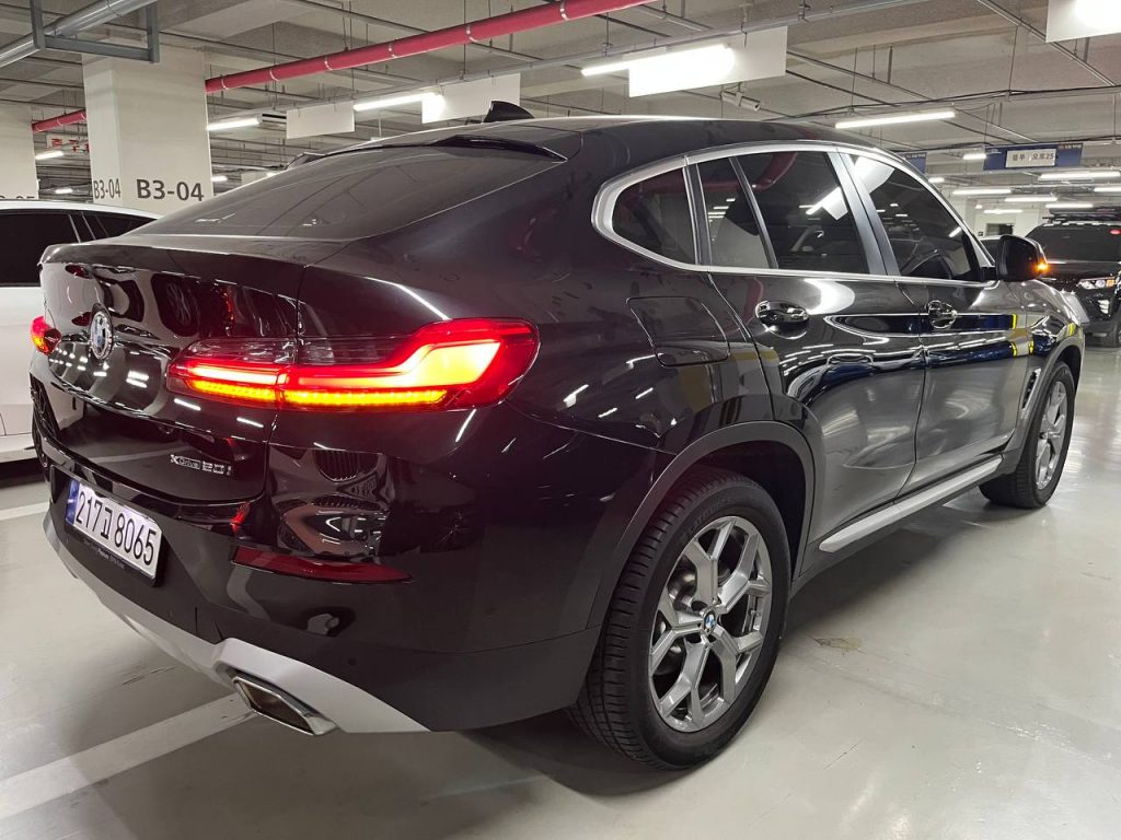 BMW X4 (G02) xDrive 20i xLine