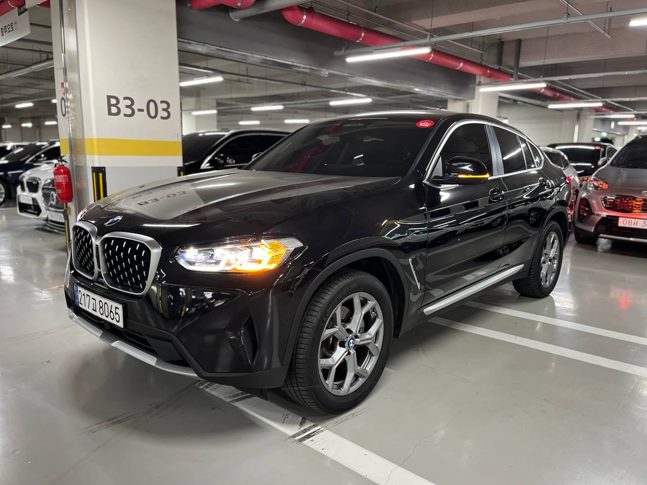 BMW X4 (G02) xDrive 20i xLine