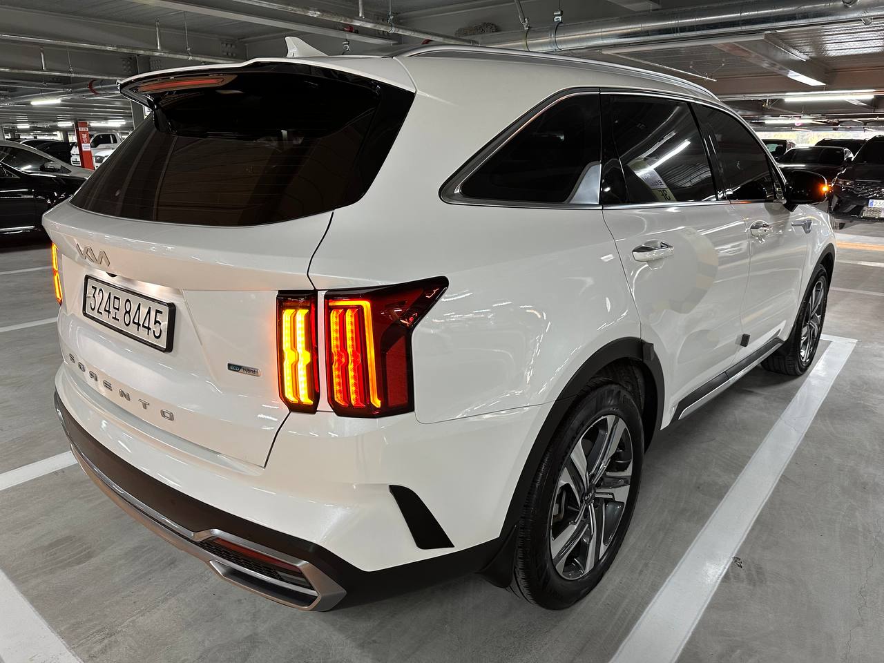 photo_68@07-11-2025_09-33-57