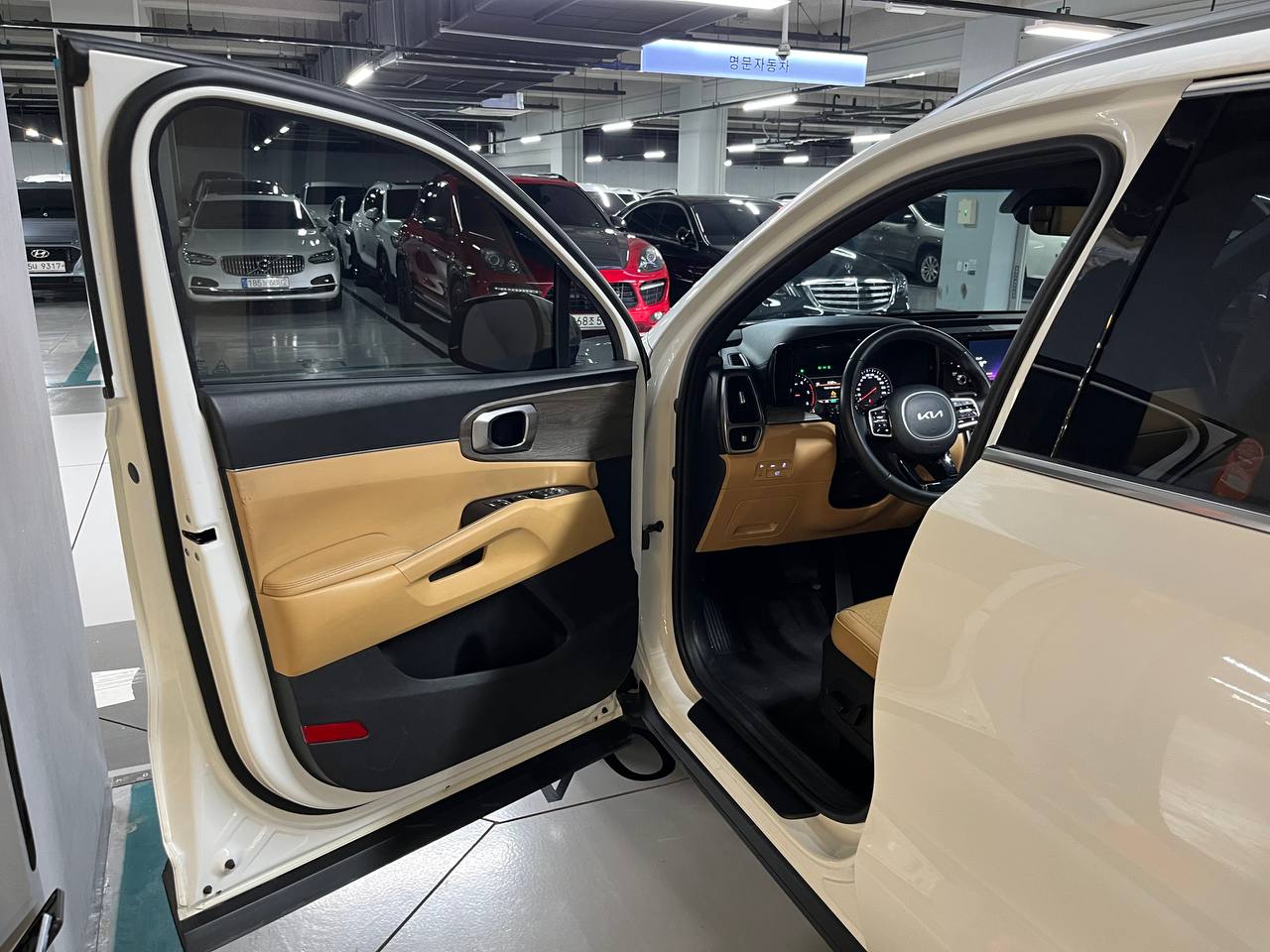 photo_77@05-11-2025_12-02-26