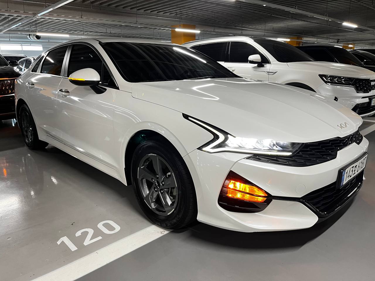 photo_34@18-12-2025_04-16-58